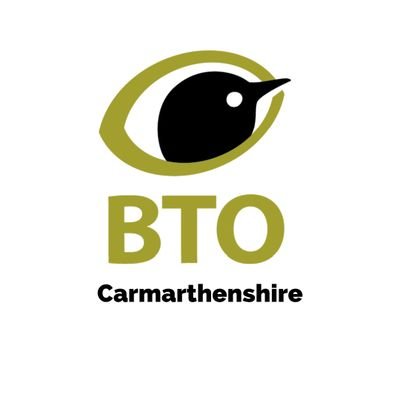 @_BTO news with a #Carmarthenshire twist, volunteering opportunities, bird surveys and more.