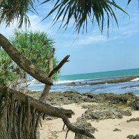 Pijat Pasutri Soloraya (@pijatpasutri_s) 's Twitter Profile