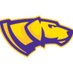 UWSP Women's Lacrosse (@UWSPWLacrosse) Twitter profile photo