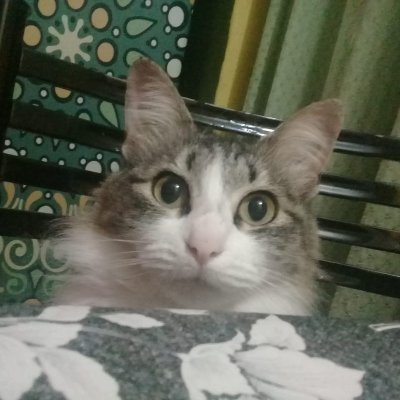 Phosky_'s profile picture. -