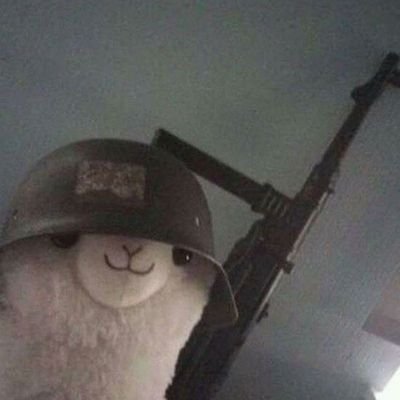 User_16661's profile picture. 