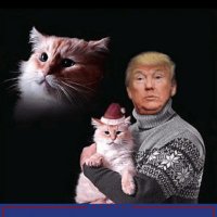 T-Rump Rockstar (@johnjac68283504) 's Twitter Profile