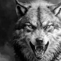 Gray Wolf 🇺🇲 (@ncs_rbb) 's Twitter Profile Photo Gray Wolf 🇺🇲 (@ncs_rbb) 's Twitter Profile Photo