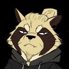TanukiSam 🦝さんのプロフィール画像