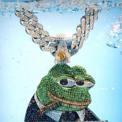 crypto enthusiast, $VIZ, $PEPE