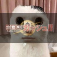 을(@dmf4444) 's Twitter Profile Photo