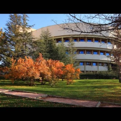 Bilkent Üniversitesi Ekonomi