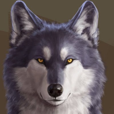 xingxn228750's profile picture. 