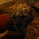 Steve Belcher - @chelsworthy - Twitter