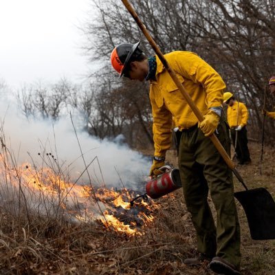 kyle_rolfes's profile picture. 