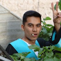 amirhossein tondro (@amir00645551) 's Twitter Profile