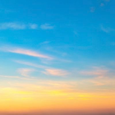 sky_sea_land195's profile picture. Interested in Life Plannings&Implementation, Health, Dhamma/ Philosophy, Conflict Resolution, Languages Learning, Politics, Investments, Money Management, Cats