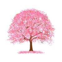桜子🌸8008 (@sakurako8008) 's Twitter Profile Photo 桜子🌸8008 (@sakurako8008) 's Twitter Profile Photo