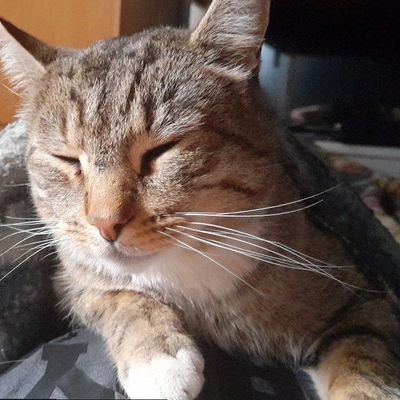 SLord_Glasc's profile picture. ☆ 𝟸𝟷 𝒶ñ𝑜𝓈 | 𝒜𝓇𝑔𝑒𝓃𝓉𝒾𝓃𝒶 ☆
☁ 𝒜𝓁𝑔𝑜 𝒽𝑜𝓇𝓃𝓎 𝓎 𝒶𝓂𝒾𝑔𝒶𝒷𝓁𝑒 ☁
✞ ℰ𝓈𝓅𝒶ñ𝑜𝓁/ℰ𝓃𝑔𝓁𝒾𝓈𝒽 ✞ 𝒟𝓂 𝒪𝓅𝑒𝓃