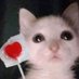 juju (@juliatrzt) Twitter profile photo juju (@juliatrzt) Twitter profile photo