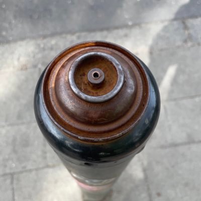 schwerdance's profile picture. nazis raus