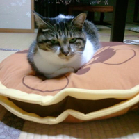 I♥BEER (@beer__nomitaina) 's Twitter Profile