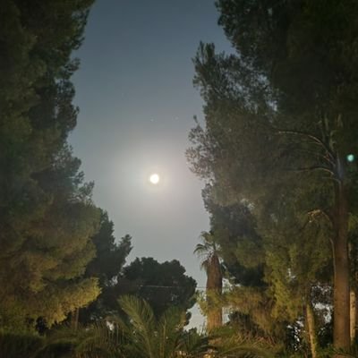 Vickypv1's profile picture. Ingeniero en À Punt