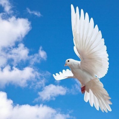 6juv7CqAoO2cZDY's profile picture. 