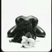 Aida Diaw (@douce_lotus) Twitter profile photo Aida Diaw (@douce_lotus) Twitter profile photo