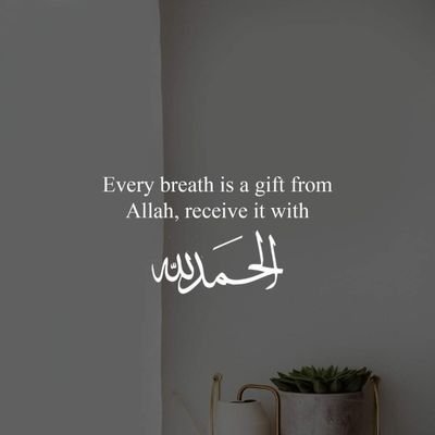 ELECT021's profile picture. 