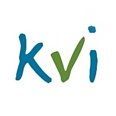 Netzwerk_KvI Profile Picture