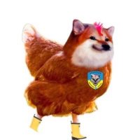 chickFella(@DryFarms) 's Twitter Profile Photo