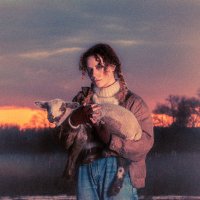 Mike Kota (@mike_kota_) 's Twitter Profile
