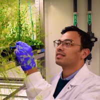 Devang Mehta 🌱👨🏽‍🔬🧬(@drdevangm) 's Twitter Profile Photo