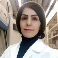 Atefeh Akbari (@akbaribc) 's Twitter Profile