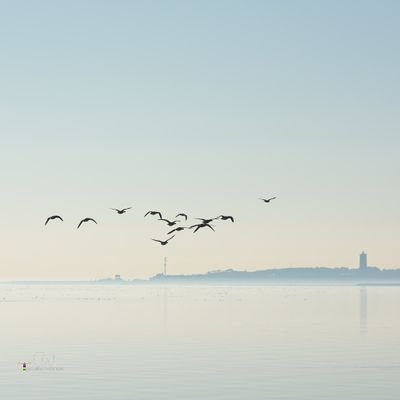 fhizii's profile picture. 