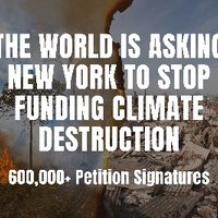 NY for Forests(@NY4Rainforests) 's Twitter Profile Photo