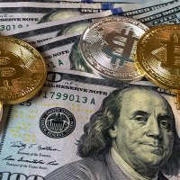 crypto.earn (@hgh_1125) 's Twitter Profile