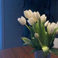 Tasneemalnabelsi (@tasneemalnabel1) 's Twitter Profile