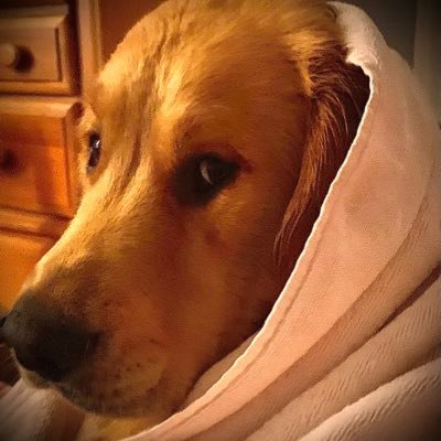 EdwardFlynt's profile picture. Builder. Lover of nature