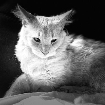 666spooked's profile picture. https://t.co/AeDrVaYMot