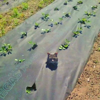 sofiardgzc8's profile picture. 