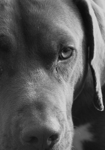 MonologueFrog's profile picture. Like nature generally seen from either a canoe, mountain bike or through the view finder of a camera...or if the weathers bad, a cuppa and a board game will do!