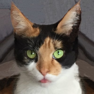 AenimusKoL's profile picture. That's right; it goes in the square hole.