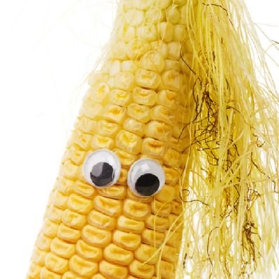 - #1 Ranked corn-related mascot fan of all time, EVER.
- I'm a corn. Ask your mom if I'm sweet or not.
- #GBR 🔴⚪🌽⚪🔴