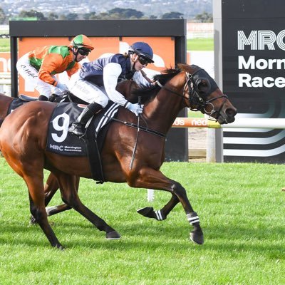 Dual licence Jockey & Horse trainer at Morphettville South Australia