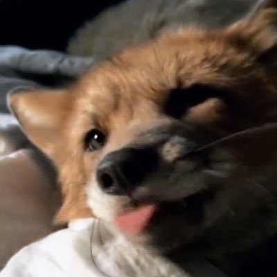 robloxSeller909's profile picture. I just logged jn