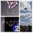 i_speak_cheer's profile image