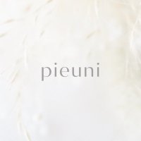 pieuni accessory(@pieni_uni) 's Twitter Profile Photo