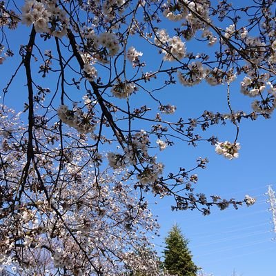 20代♂
180/67
楽しく遊べる女性求む！
割りきった関係でお願いします🙏