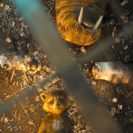 Barbatos887's profile picture. $MYTH #Solona #Etherium #TON #Polygon #BNB 🌳