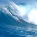 Alexandre Ferreira - @AlexFerrera18 - Twitter