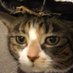 surfcat (@ssurfcatt) Twitter profile photo surfcat (@ssurfcatt) Twitter profile photo