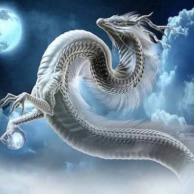 8k_yc's profile picture. 