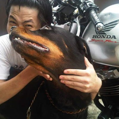 JohnsonBChiang's profile picture. 